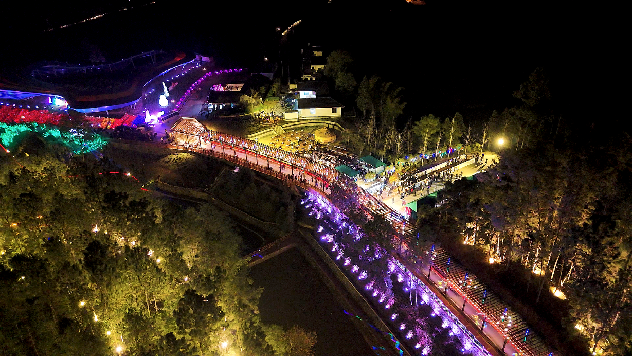 贺新年 迎挑战 欢乐喜庆闹元宵——金年金字招牌诚信至上举行元宵游园活动(图4)