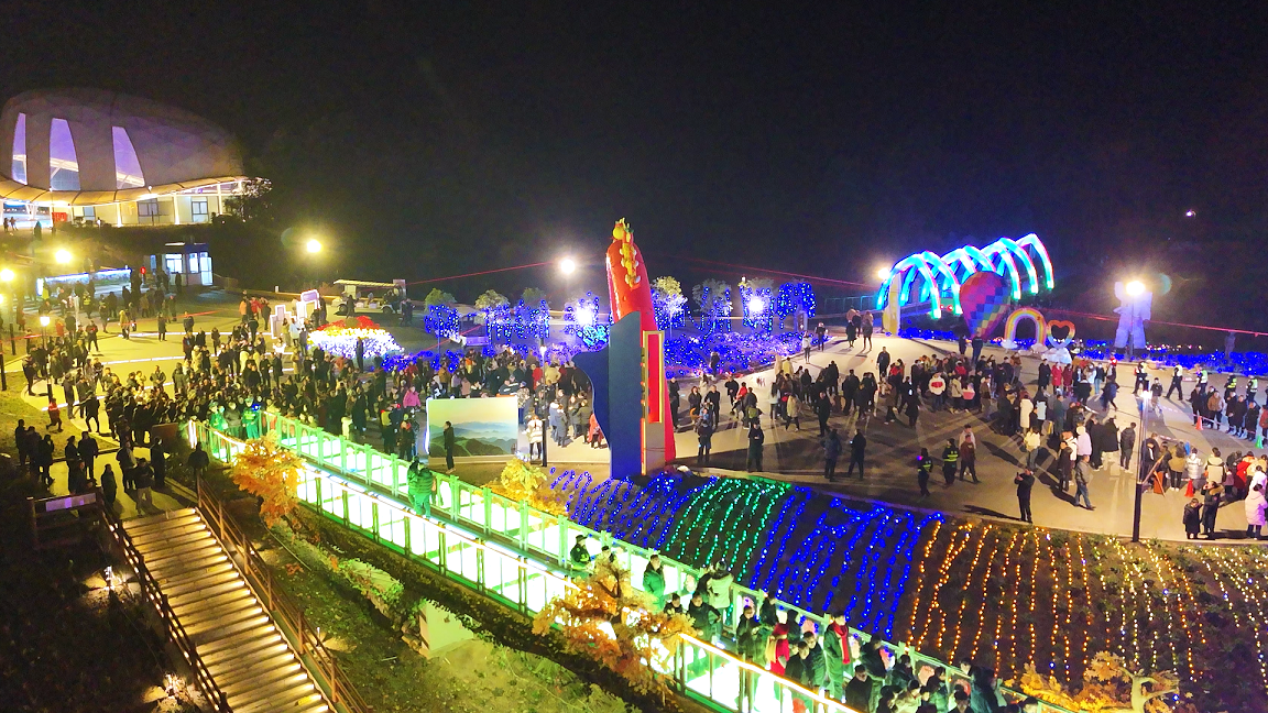 贺新年 迎挑战 欢乐喜庆闹元宵——金年金字招牌诚信至上举行元宵游园活动(图12)